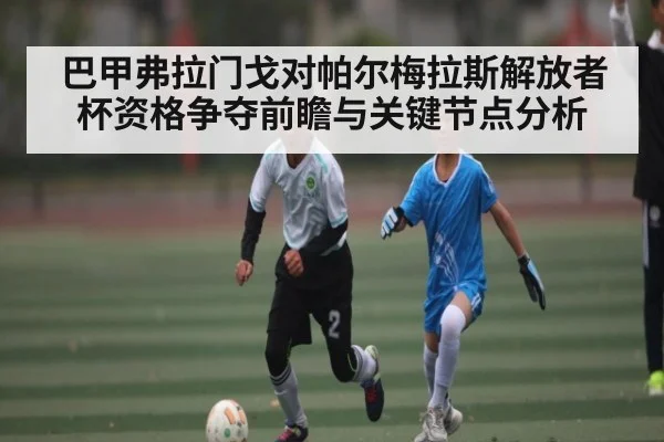 巴甲弗拉门戈对帕尔梅拉斯解放者杯资格争夺前瞻与关键节点分析